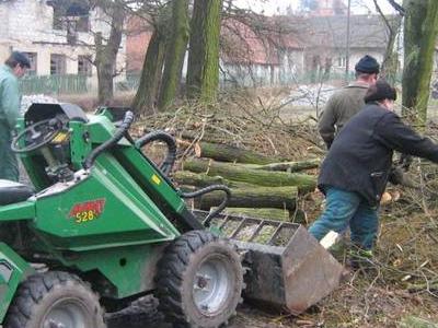 Usługi zieleni 10